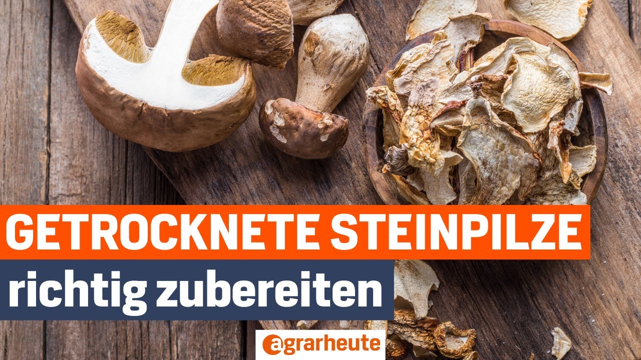 Umami-Kick: Getrocknete Steinpilze richtig zubereiten