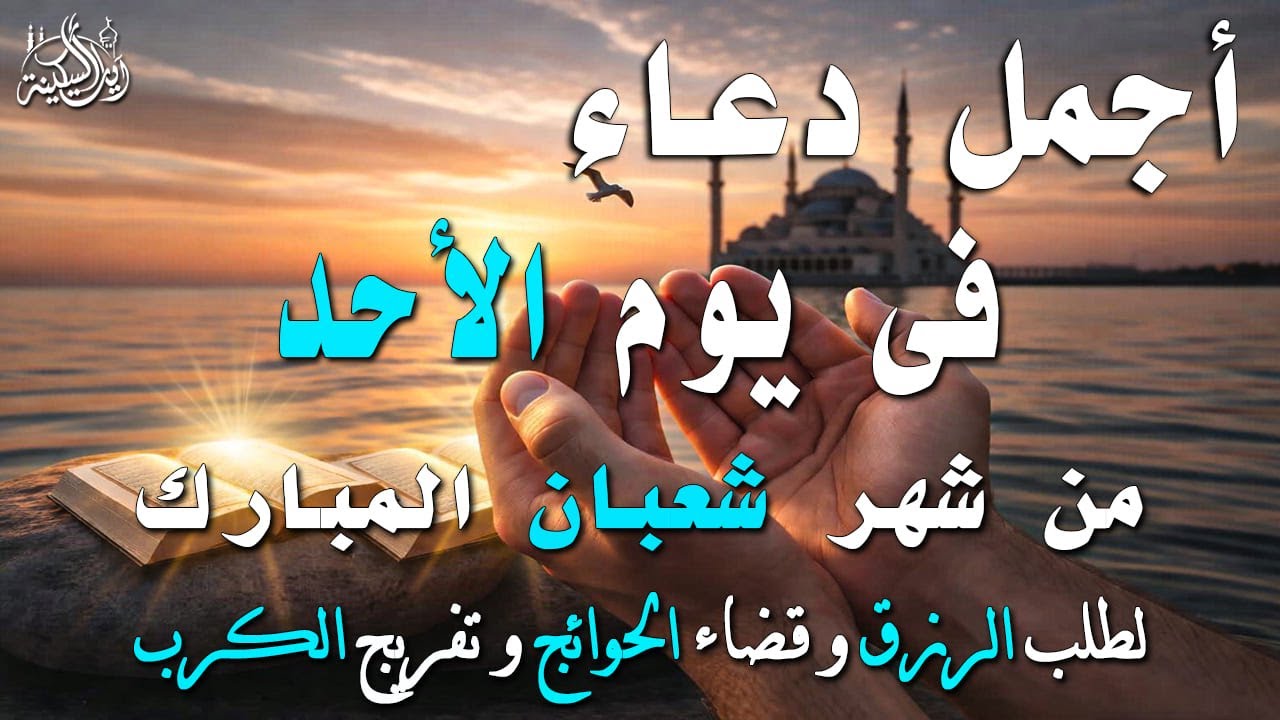 دعاء فى يوم السبت المستجاب دعاء يوم 5 من شهر شعبان للرزق والشفاء العاجل وقضاء الحوائج 🤲(4k)