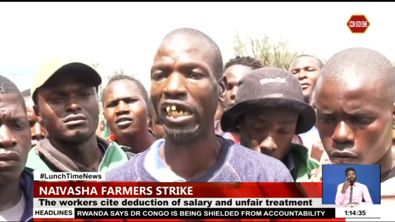 Over 3,500 workers from Bohemian flower farm hold protests