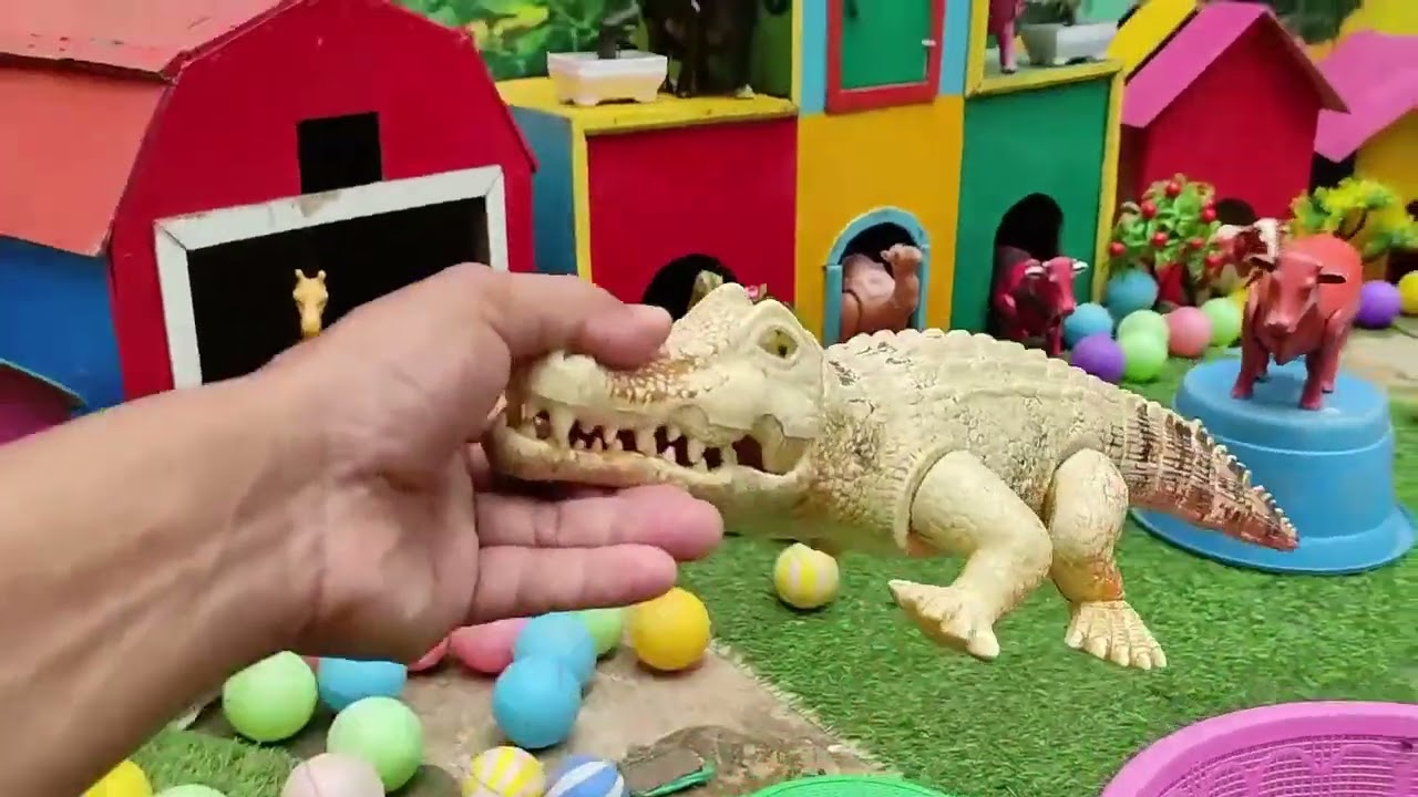 Ayam warna warni , anak ayam piyik ,sapi warna warni, anak ayam petok petok di peternakan
