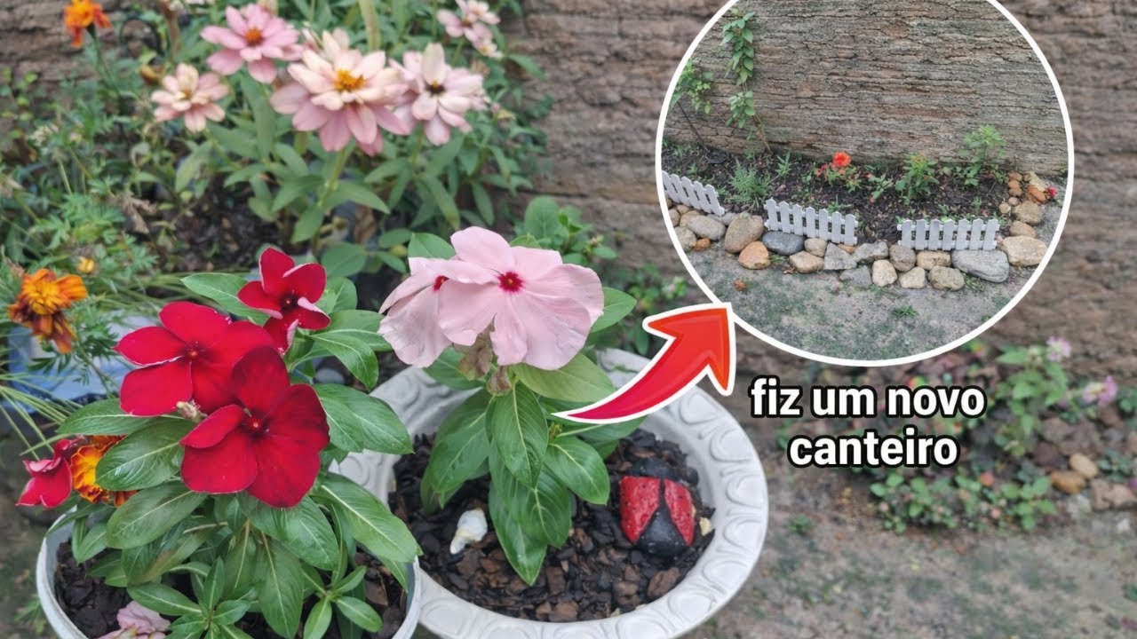 Olha só  o novo canteiro que fiz no meu quintal 👀🌸