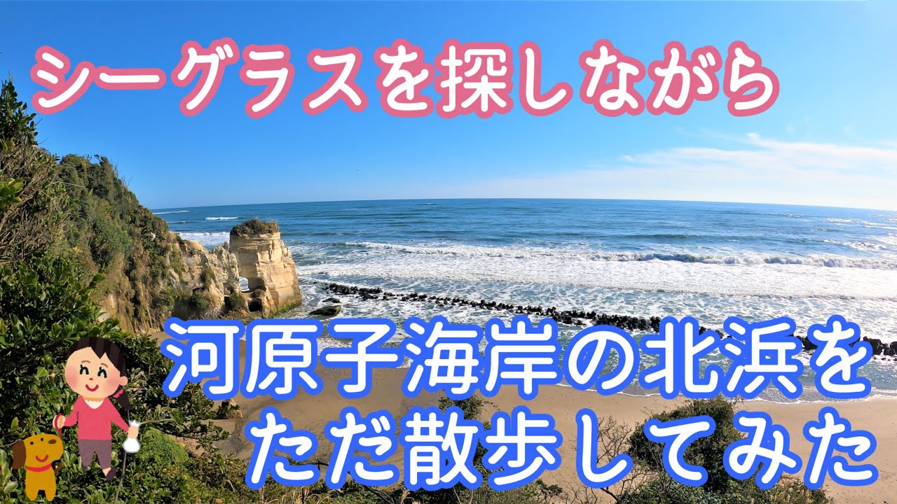 《茨城県日立市》河原子海岸の北浜をシーグラスを探しながら散歩しました(^^♪