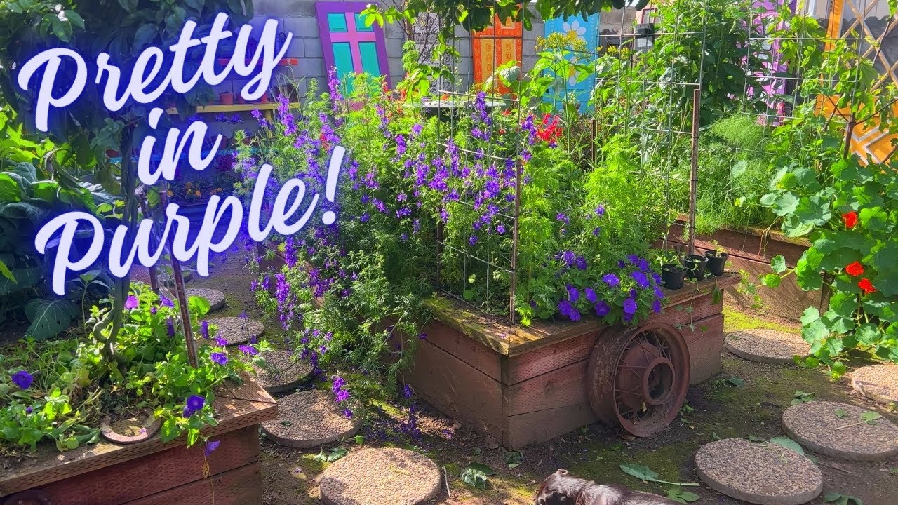 Purple Flowers in My Garden (Relaxing & Spiritual)