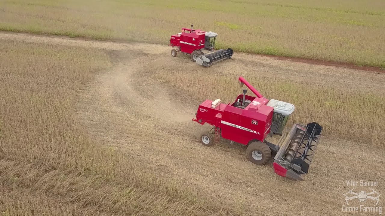 FILMEI DUAS MF5650 COLHENDO SOJA