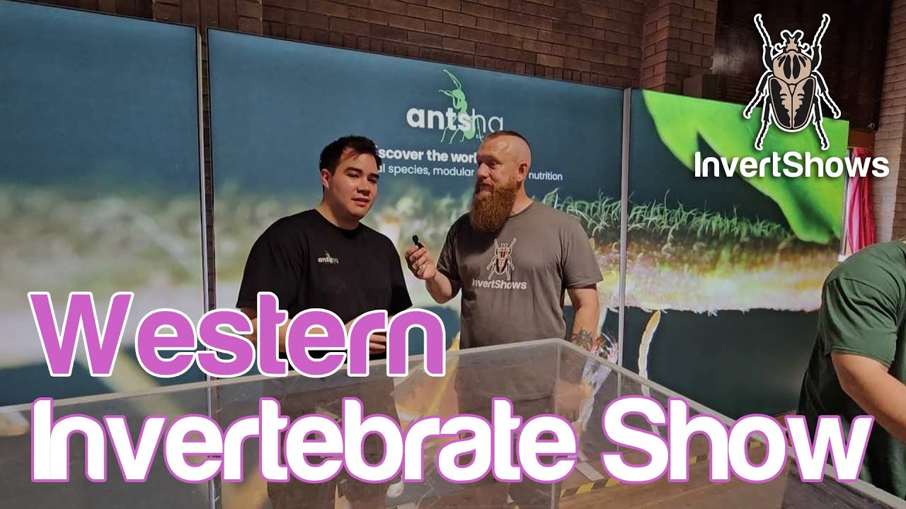 Official Video Western Invertebrate Show 2024