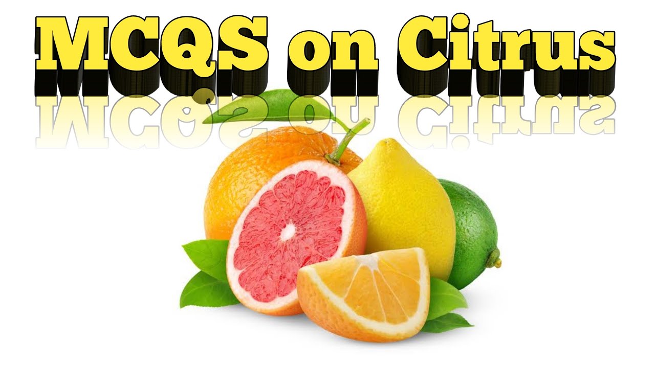 MCQS on Citrus II Citrus for JRF Horticulture II MCQS fruit crops