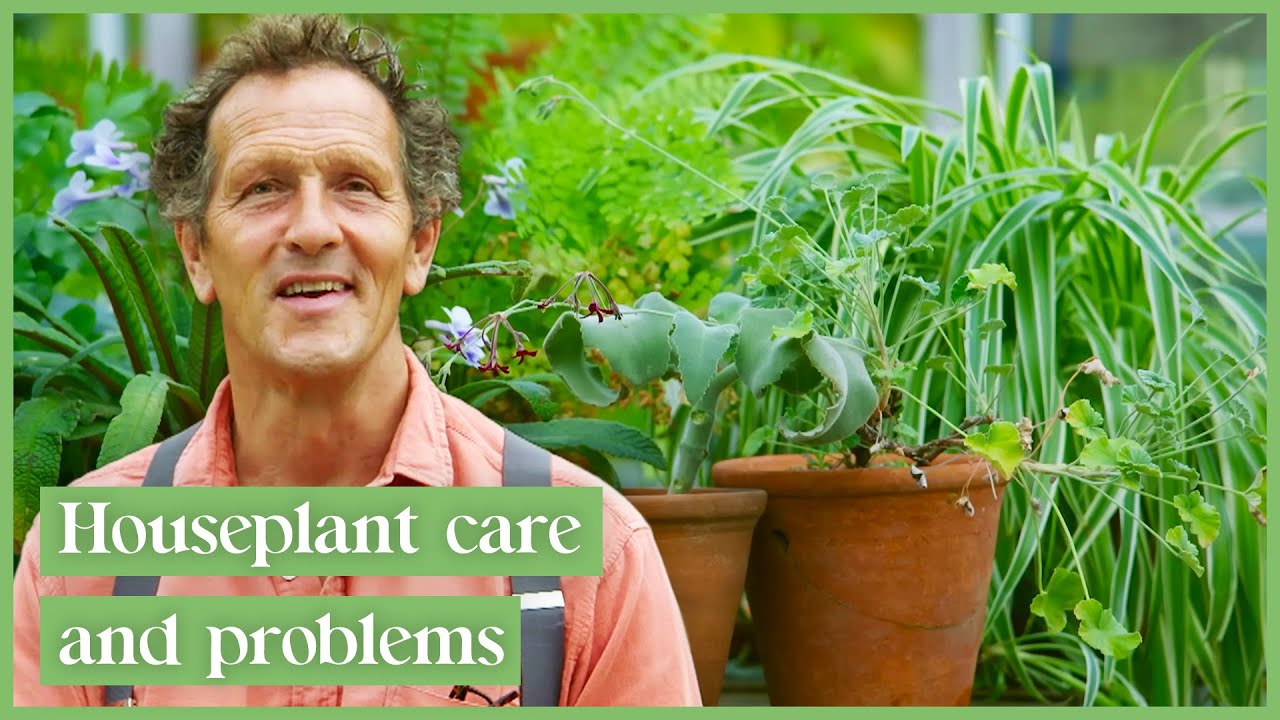 Monty Don Solves Your Houseplant Problems! | Gardener's World
