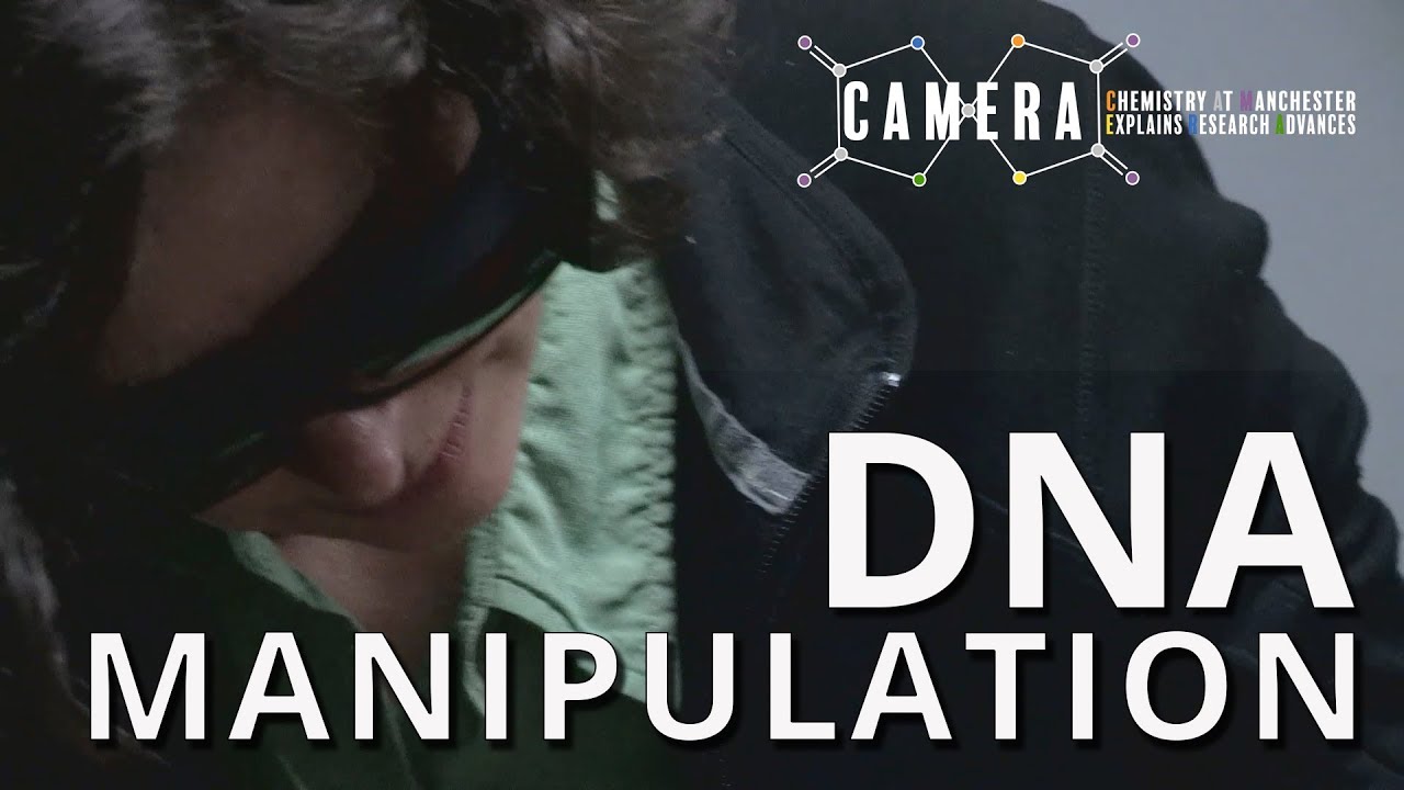 Vitamin B12 can switch your genes on and off! (UoM Chemistry 07)