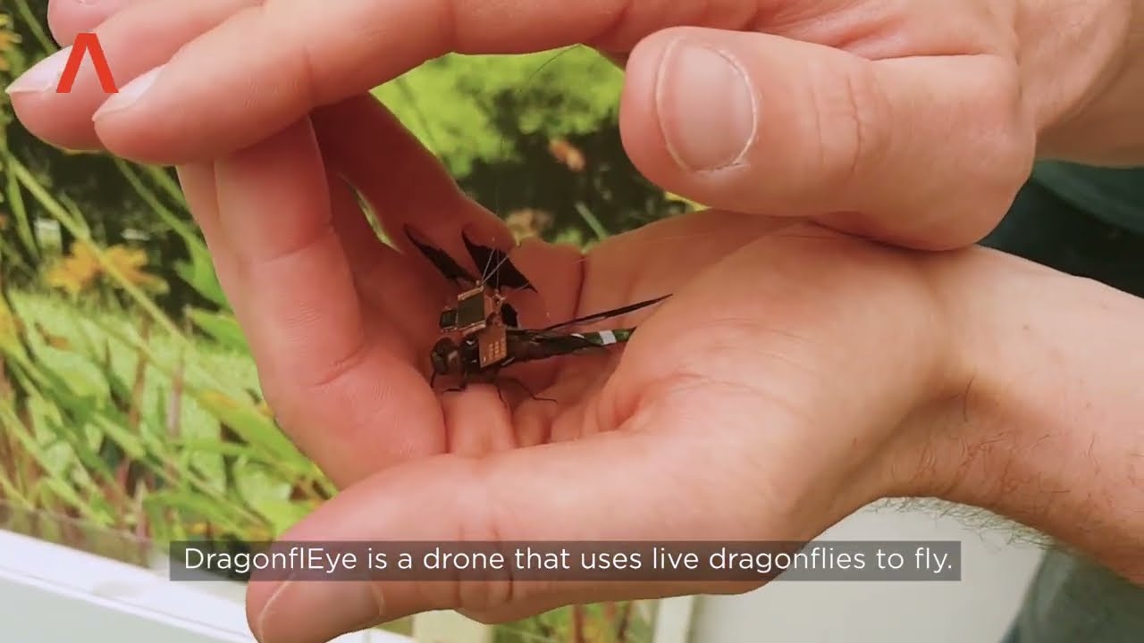 Draper DragonflEye Cyborg Weaponized Insects for Special Service