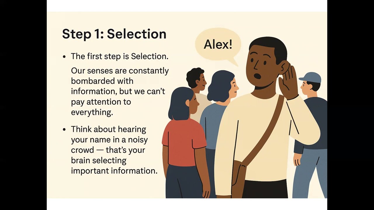 The Perception Process: How We Make Sense of the World