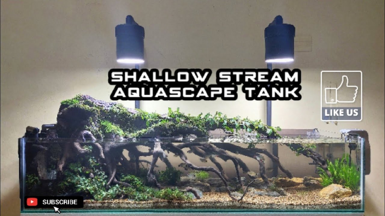 Shallow Stream Tank Aquascape 120x40x25 #18