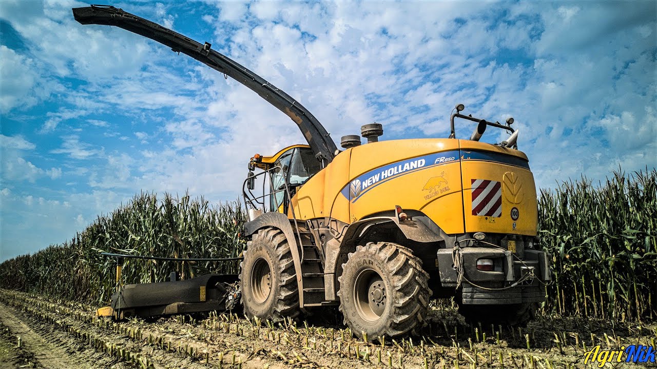 NEW HOLLAND FR850 Yellow Bull + testata KEMPER 10 file | Trinciato Mais 2019 | Team Bovo | 4K UHD