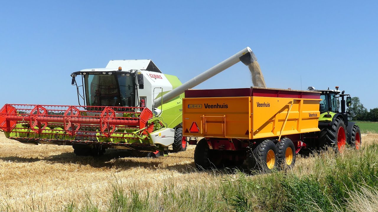 Wintergerst dorsen met Claas Tucano 320. Jur Huizinga Loppersum.