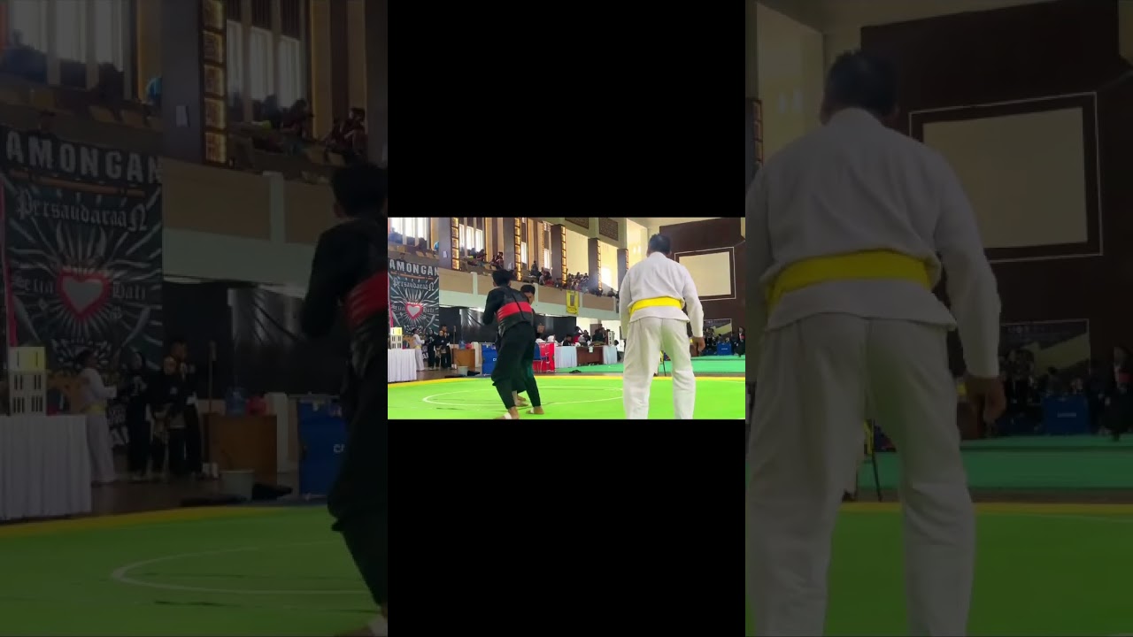 #pencaksilat #reels #psht #shterate #cup #sports #action