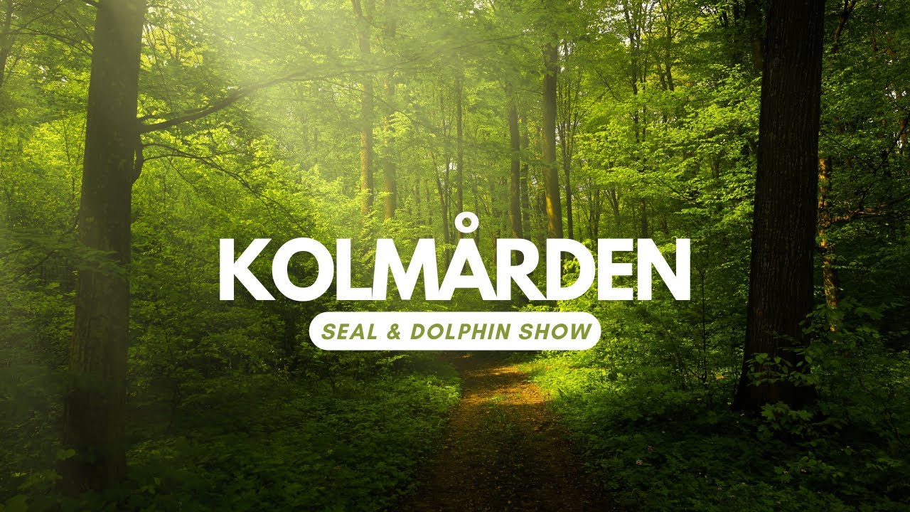 Kolmården Dolphin & Seals Show Vlog | Jazzy Jessica Vlogs