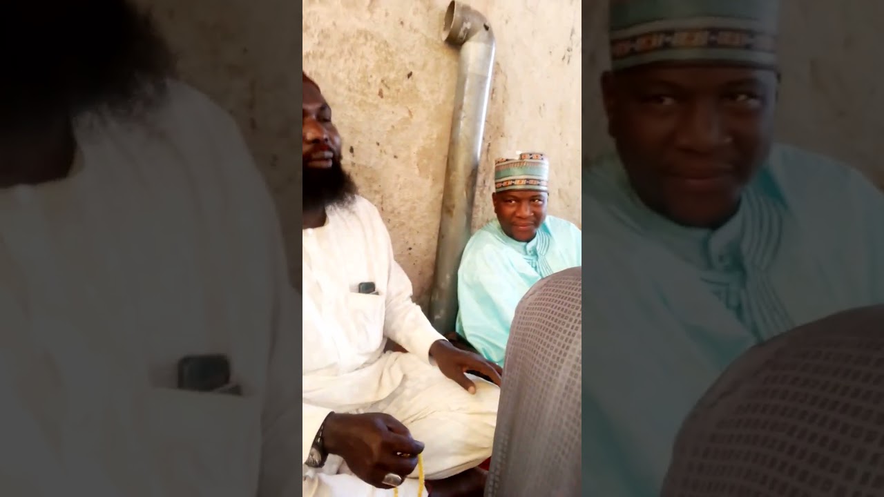 Gwani ari borno