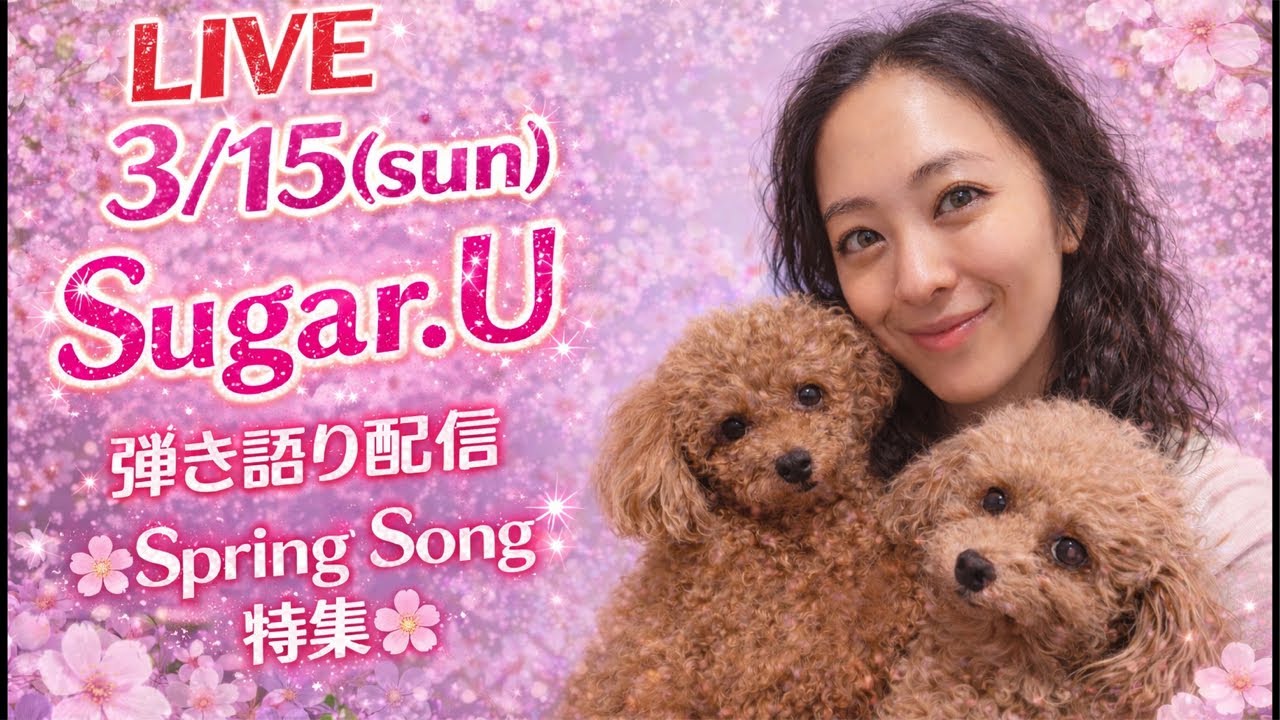 3/15 ピアノ弾き語り Spring Song 特集🌸