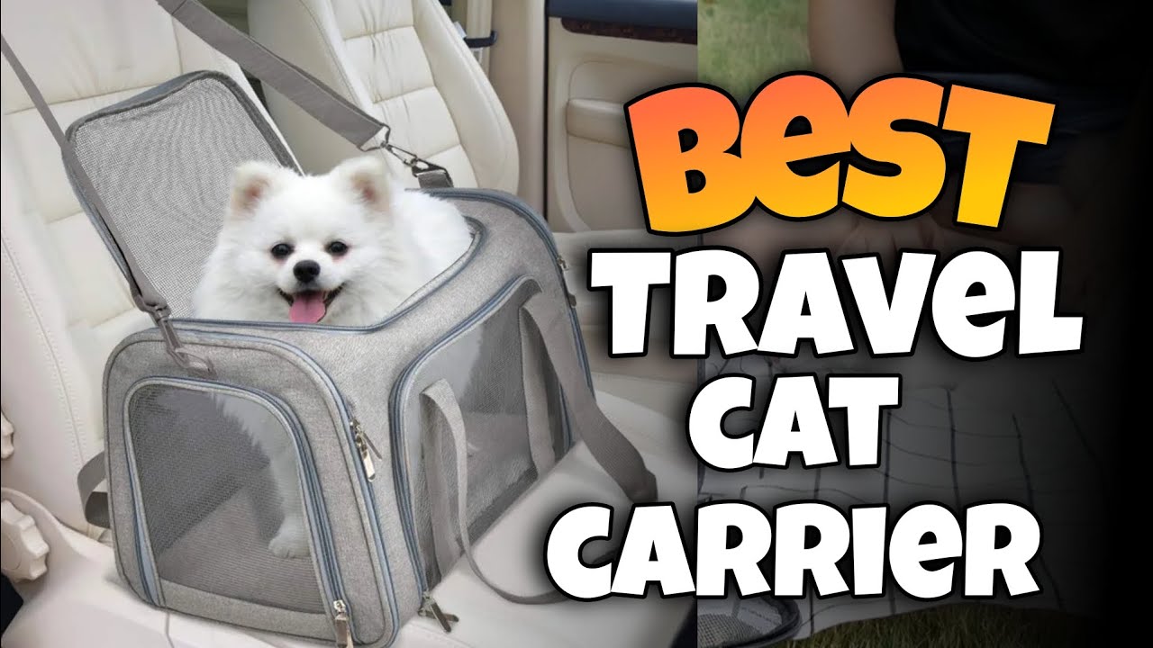 TOP 3:✅BEST CAT TRAVEL CARRIER for CAT 2025-2027 