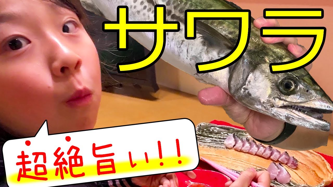 【サワラ釣り・料理】釣ったサワラを捌いて食べてみたらヤバすぎた！ ～食レポ～