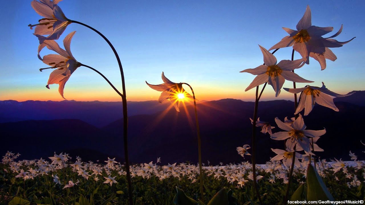 Madonna - Ray Of Light (InFiction 'Morning' Remix)