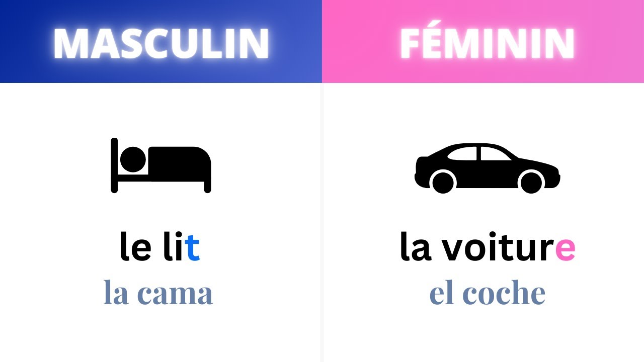 🤔 ¿Cómo Saber Si Es Femenino O Masculino En Francés?