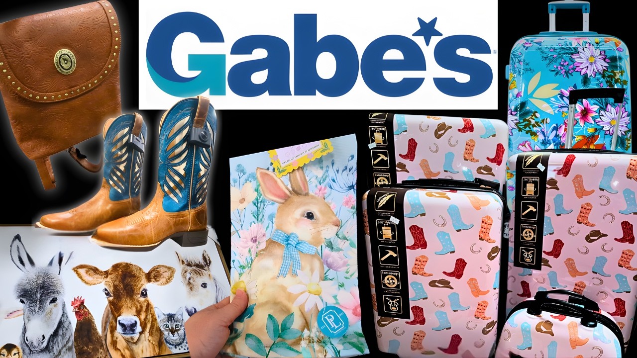 Gabe's Giant Discount Store! AMAZING PRICES-Home Decor, Baby, Luggage, Purses, and CLEARANCE!