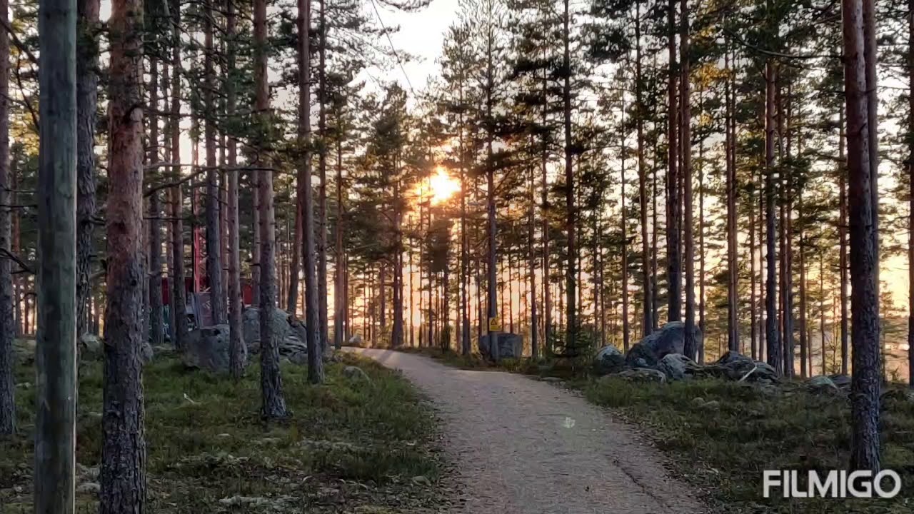 Virsi 538 Oi Jeesus, lohdutukseni