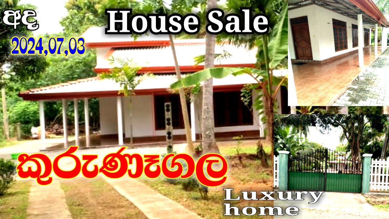 ලස්සන ගෙදර,02 කුරුණෑගල / house fro sale in kurunegala |kurunegala gewal idam |2024home sale #house 🏡