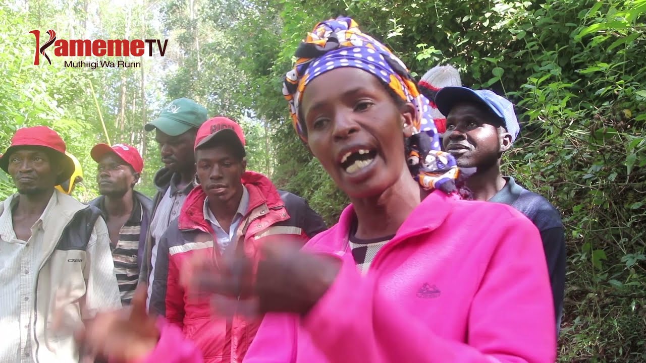 Aikari a ituura ria Kagece, Gatundu ya rugongo kuuria makirwo ndaraca njega