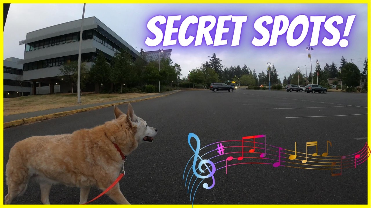Hidden Parks & Trails of Kent - Relaxing Music & Nature Dog Walk