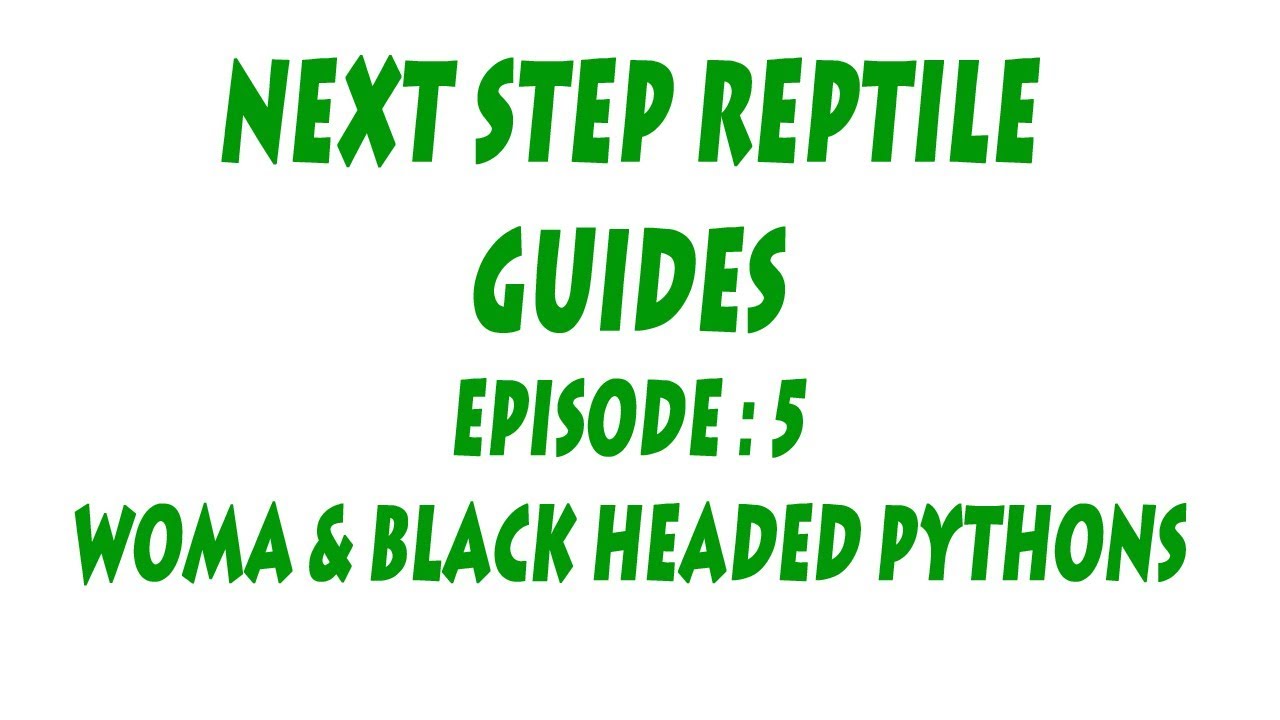 S'N'A Intermediate series: Episode 5 - Woma & Black Headed Python (Genus : Aspidites)