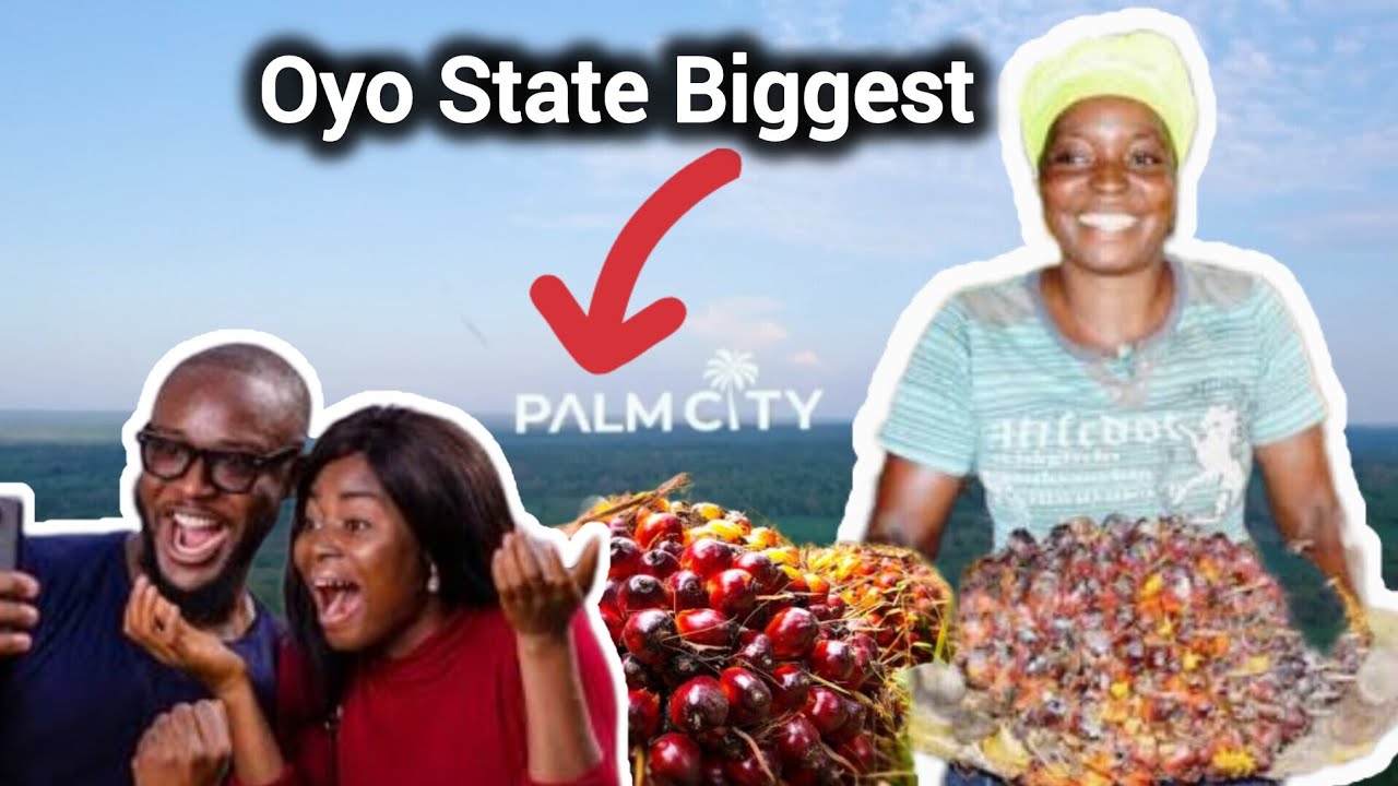 Why Everyone is Talking About Palm City at Iseyin-Saki Road Oyo State Nigeria