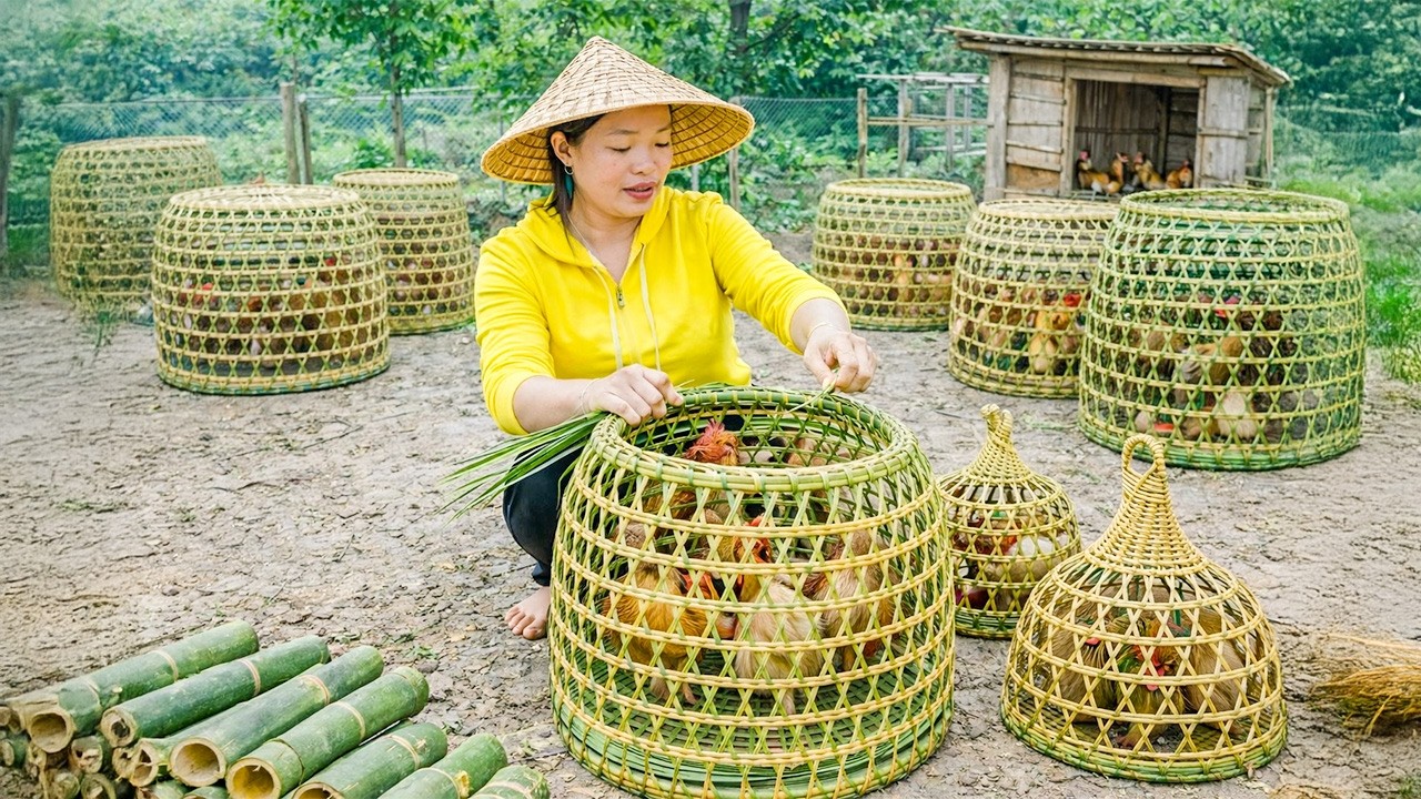 How to Weave Bamboo Baskets for Keeping Poultry to Sell at the Market - Pet Care | Trieu Mai Huong