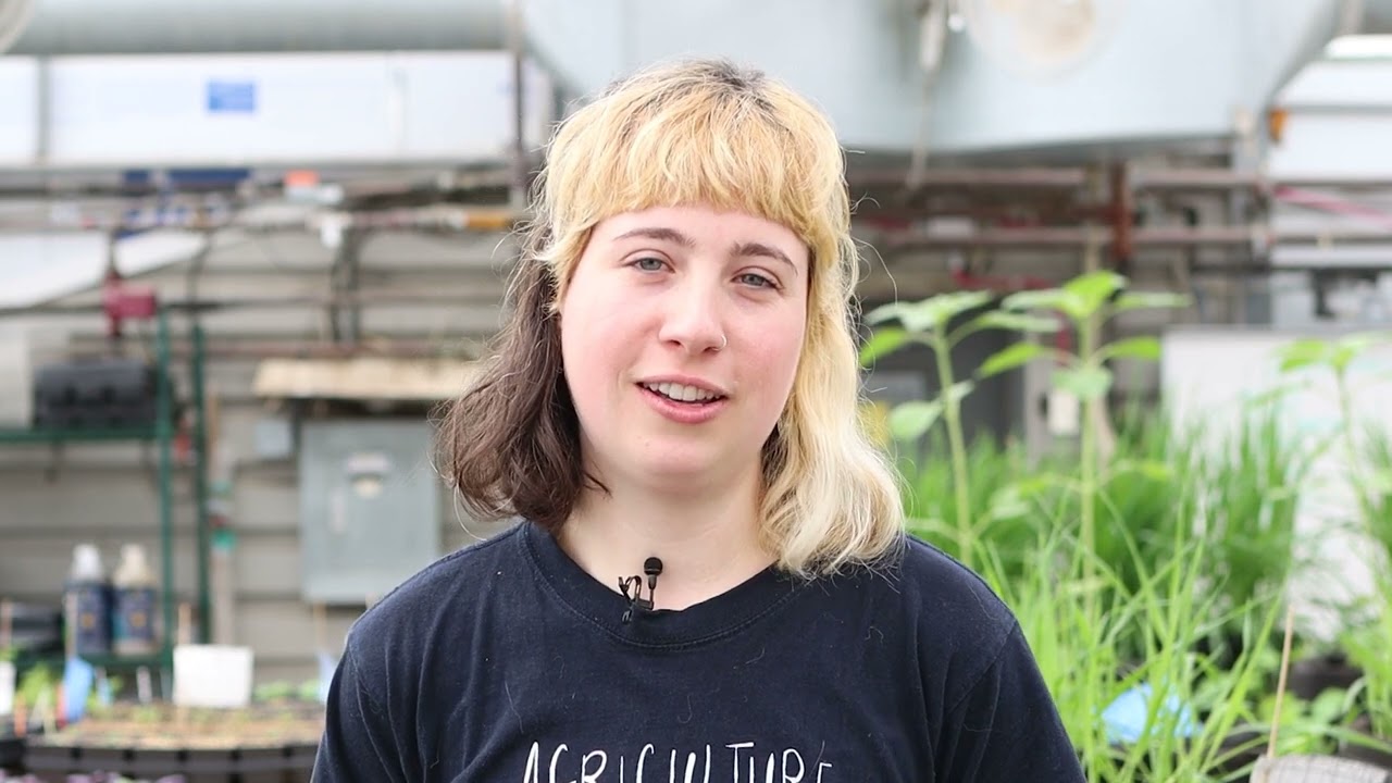GTEA - Agriculture urbaine