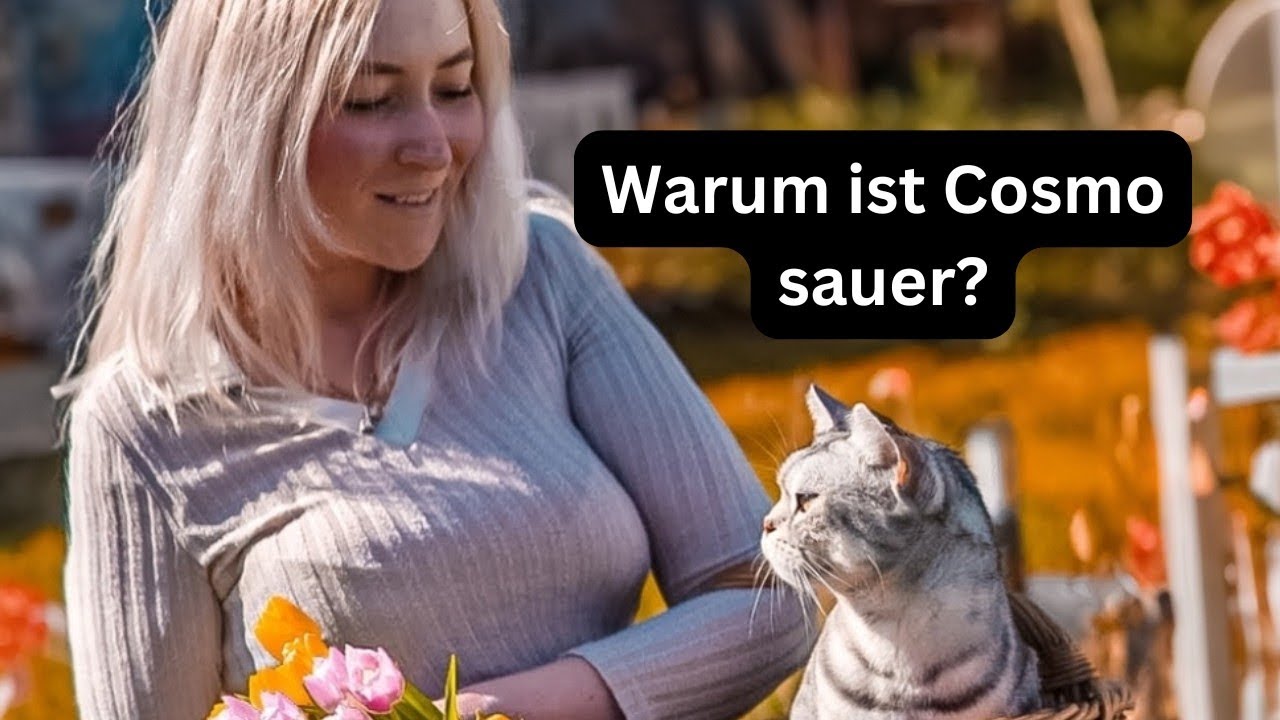 Cosmo ist sauer und beschwört Geister