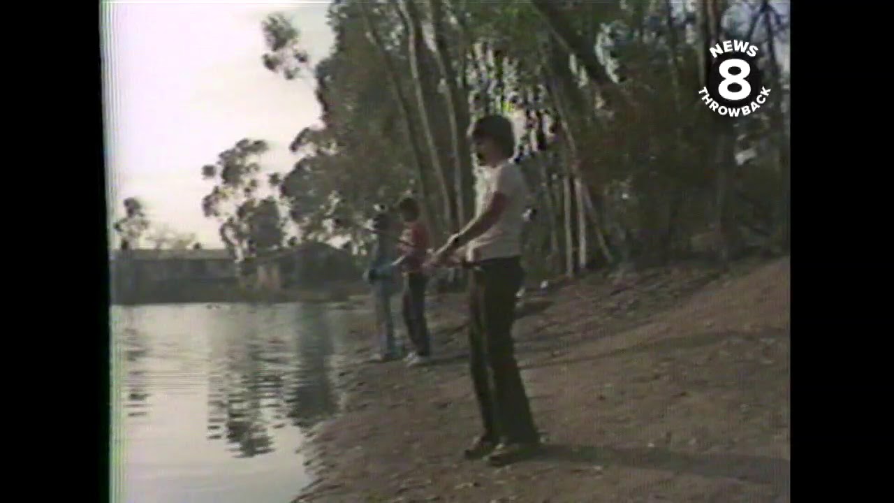 News 8 Throwback 1978: 