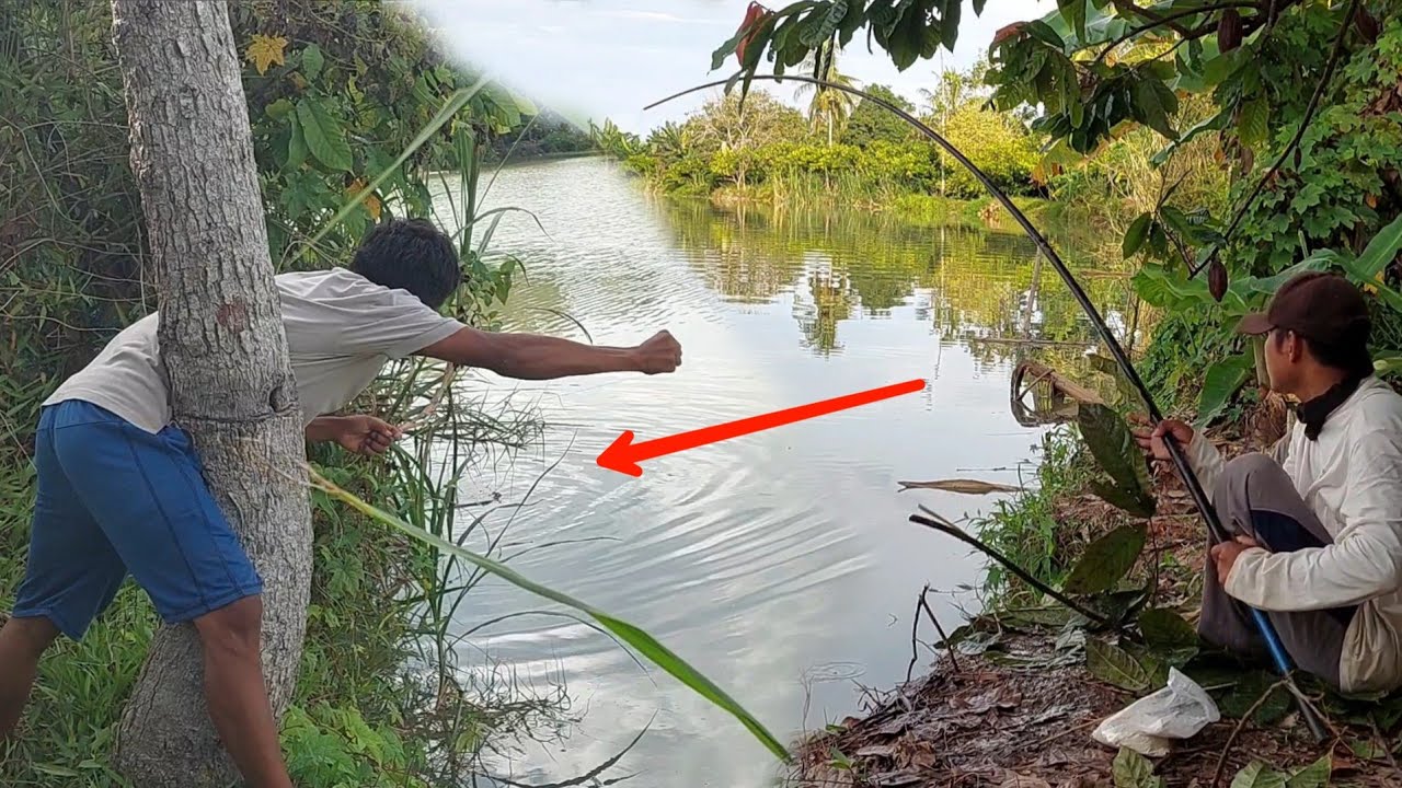 Berasa kejar apa saja ini liat pancingnya ditarik ikan dan ternyata begini hasilnya