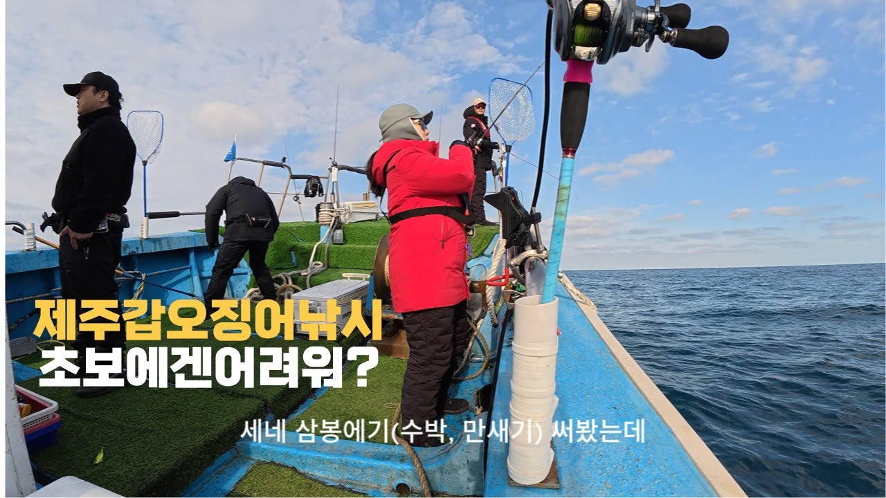 제주갑오징어 제주물곰호