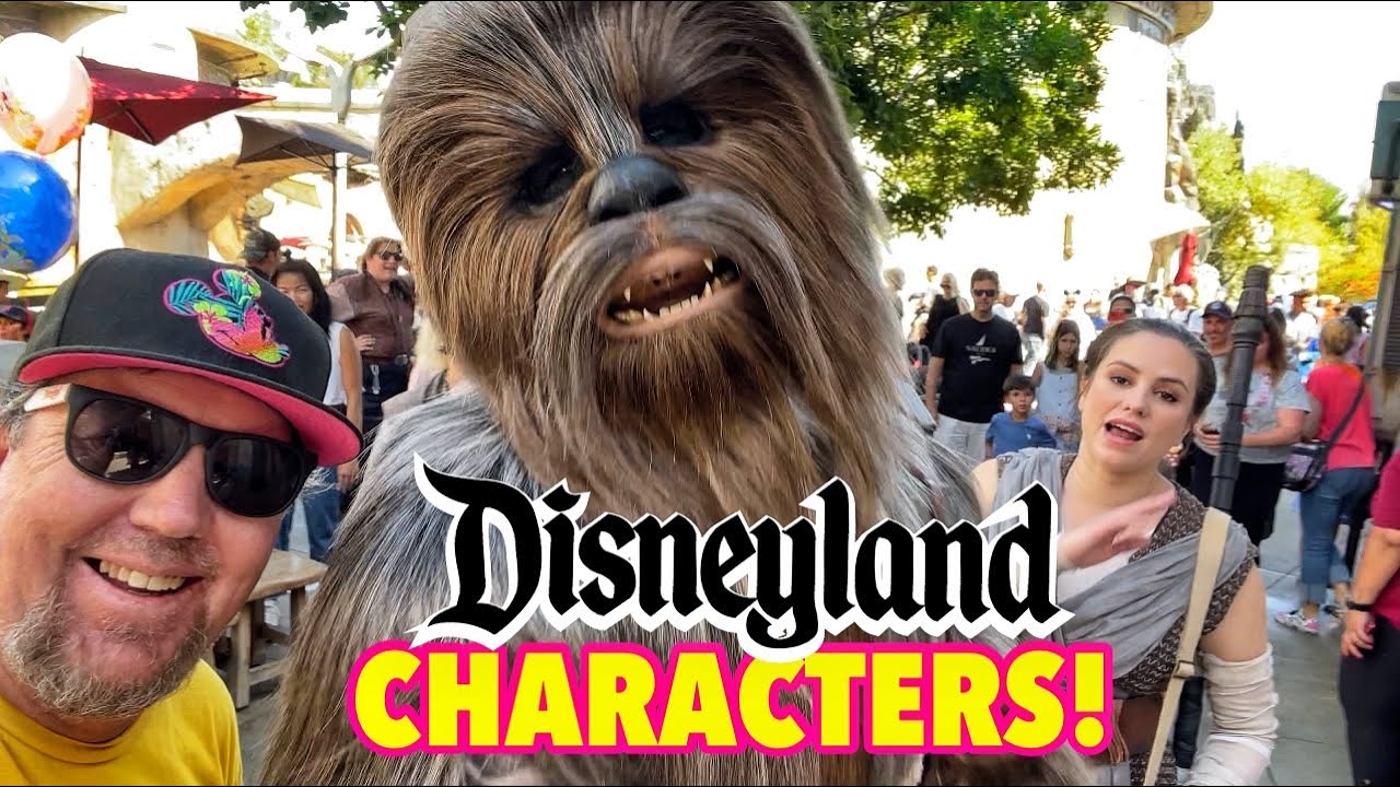 DISNEYLAND CHARACTER MEETS ARE BACK! Where to find your favorites & What the Park is like Now!