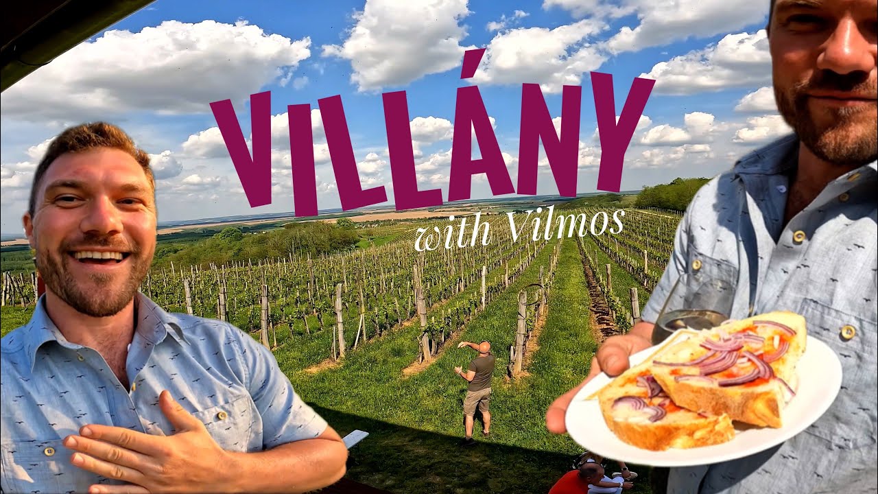 Villány with Willie || Magical Bike Tour through Hungarian Wine Country