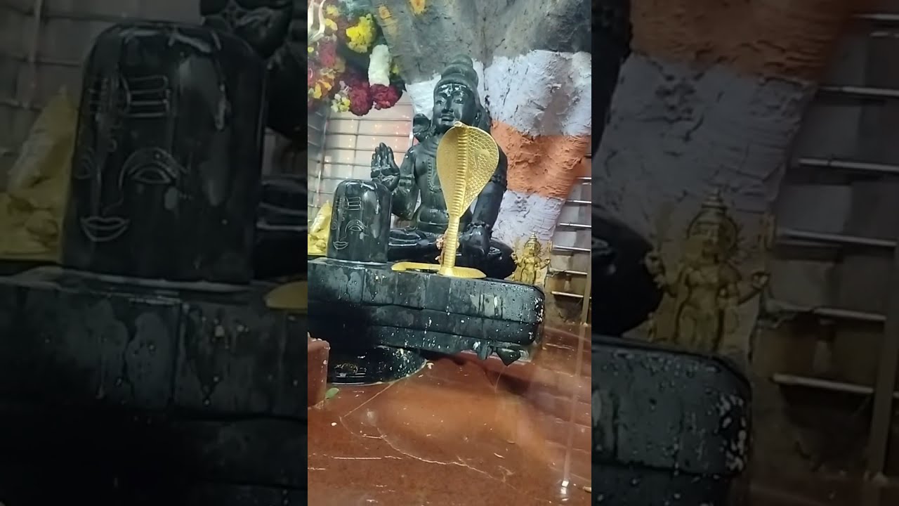 Maha Shivaratri | Rudra Abhishekam | Sri Naga Lingeshwara Swamy Live Puja | Please Subscribe 🕉#shiva