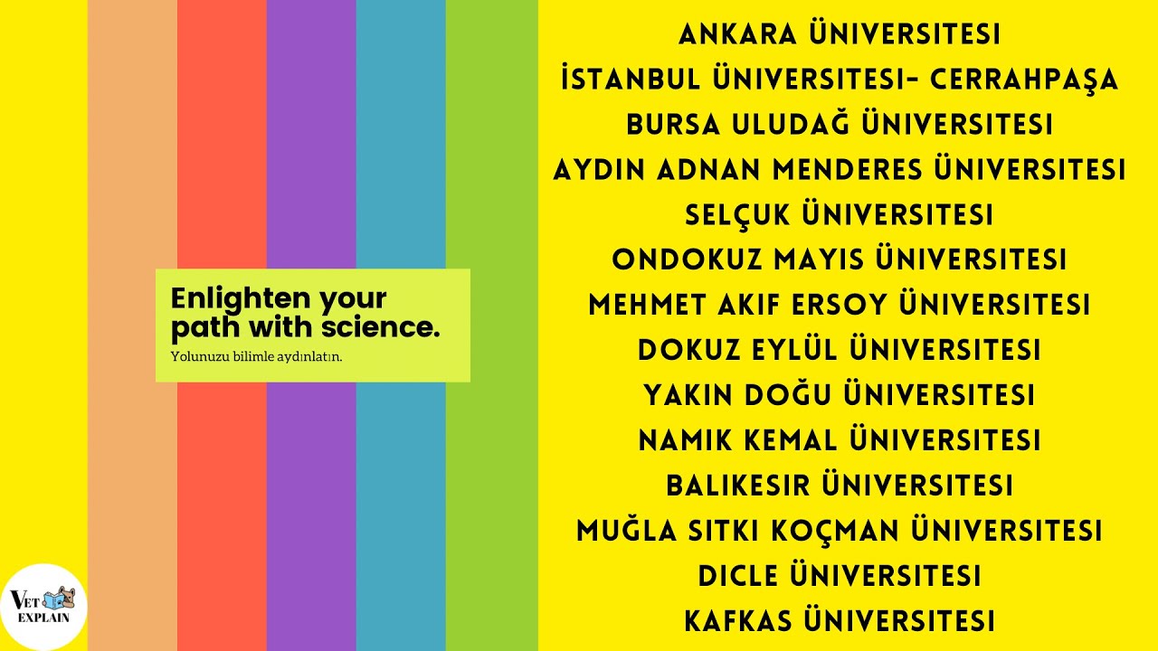 Veteriner Hekimliği Tercih Rehberi 2024