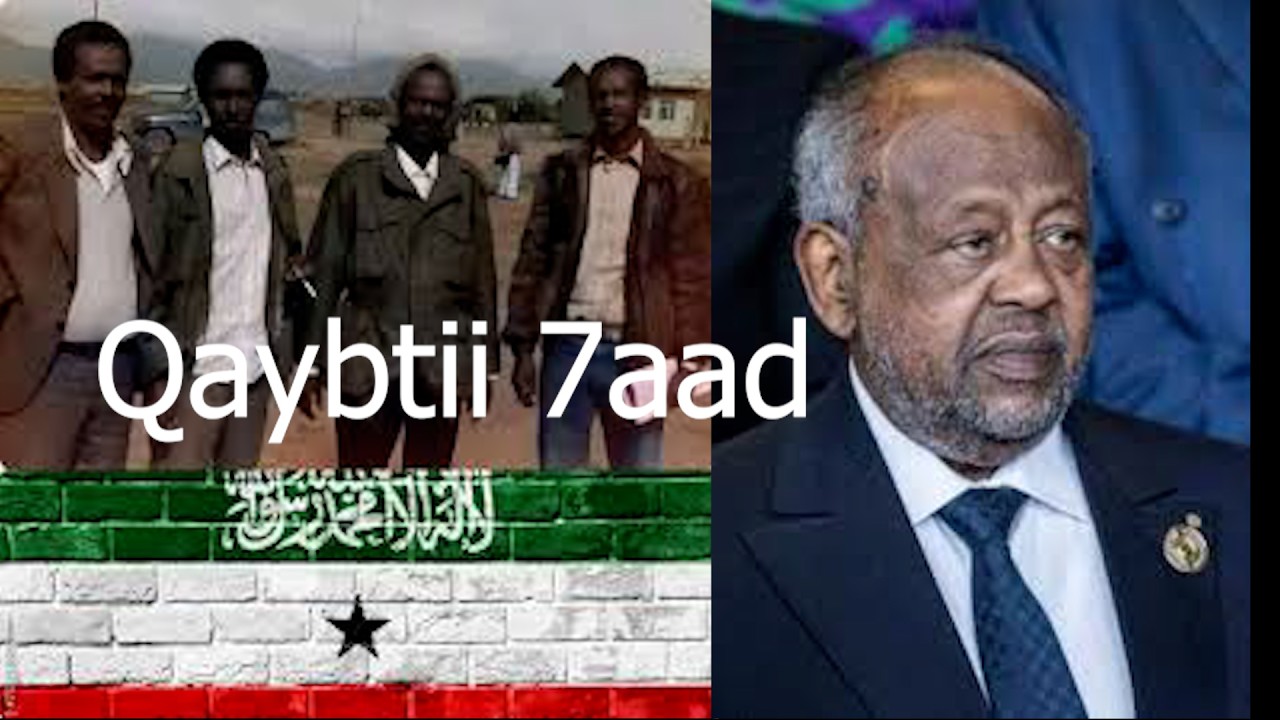 Maxaad ka ogtay Cadaawada Jabuuti u haysay SNM iyo Dhibaatadii ay u gaysatay Xiligii Halganka?weere