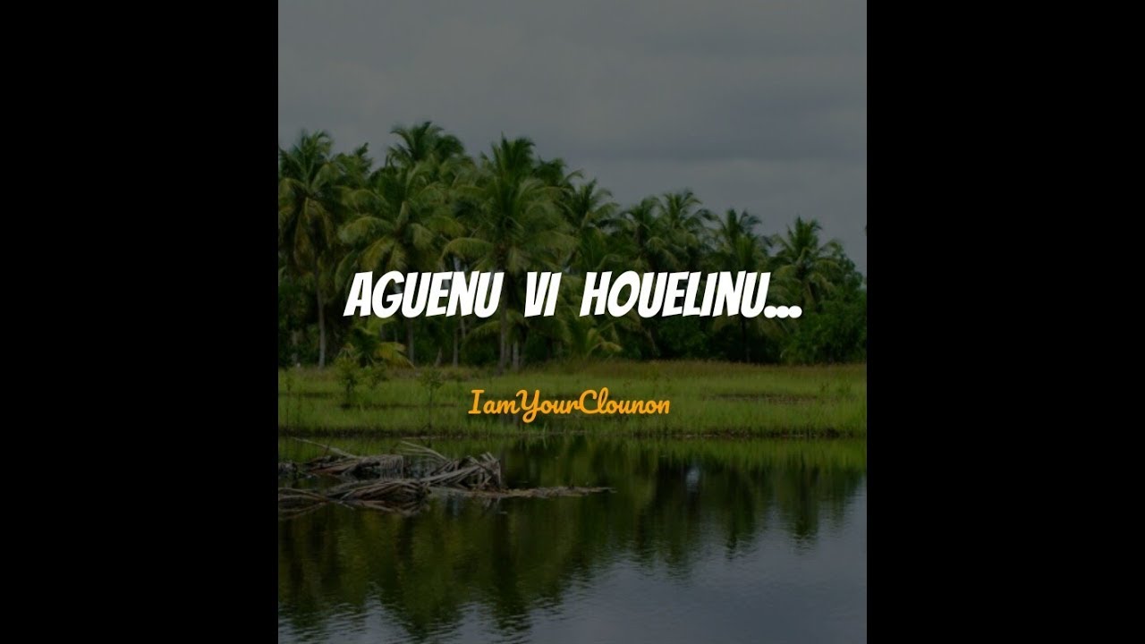 PANÉGYRIQUE AGUENU VI HOUELINU