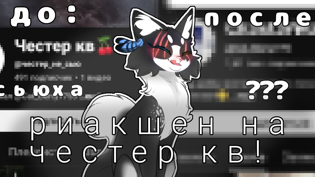 Риакшен вот на ету мадаму @cat_Berry995 @Cat_Berry775 :3