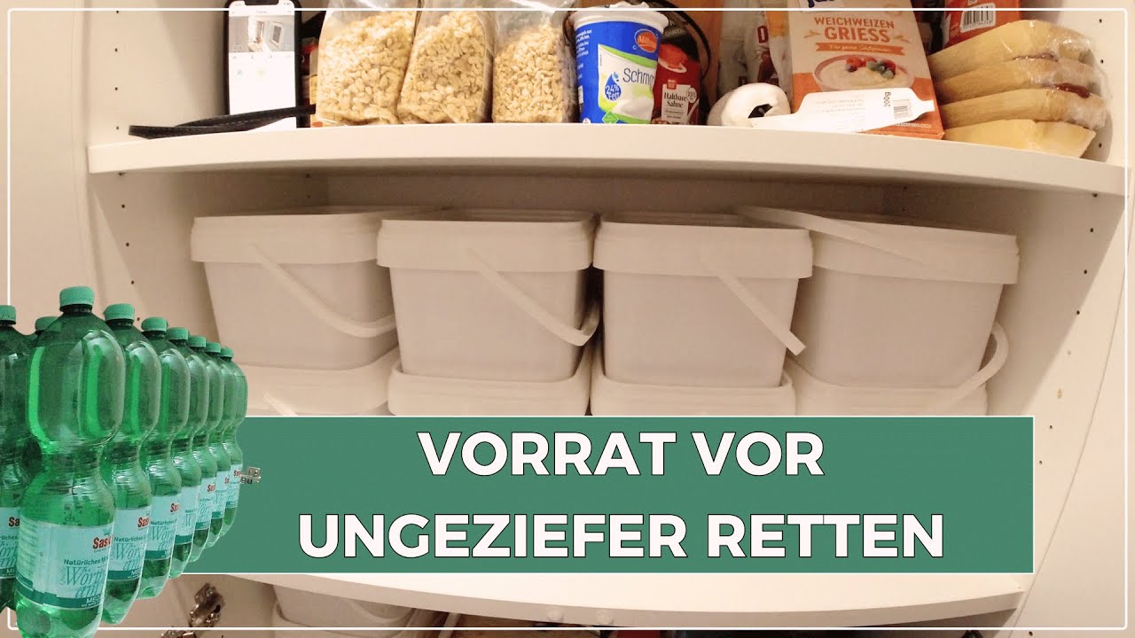 Endlich dauerhafte Ordnung im Haushalt – Vorrat organisieren & vor Ungeziefer schützen | Big Mary