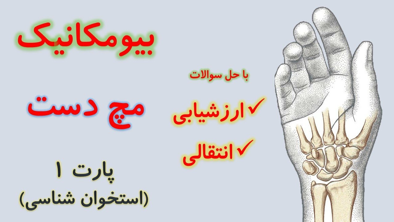 معرفی صفر تا صد استخوان های مچ دست (بیومکانیک مچ دست) از کینزیولوژی نیومن