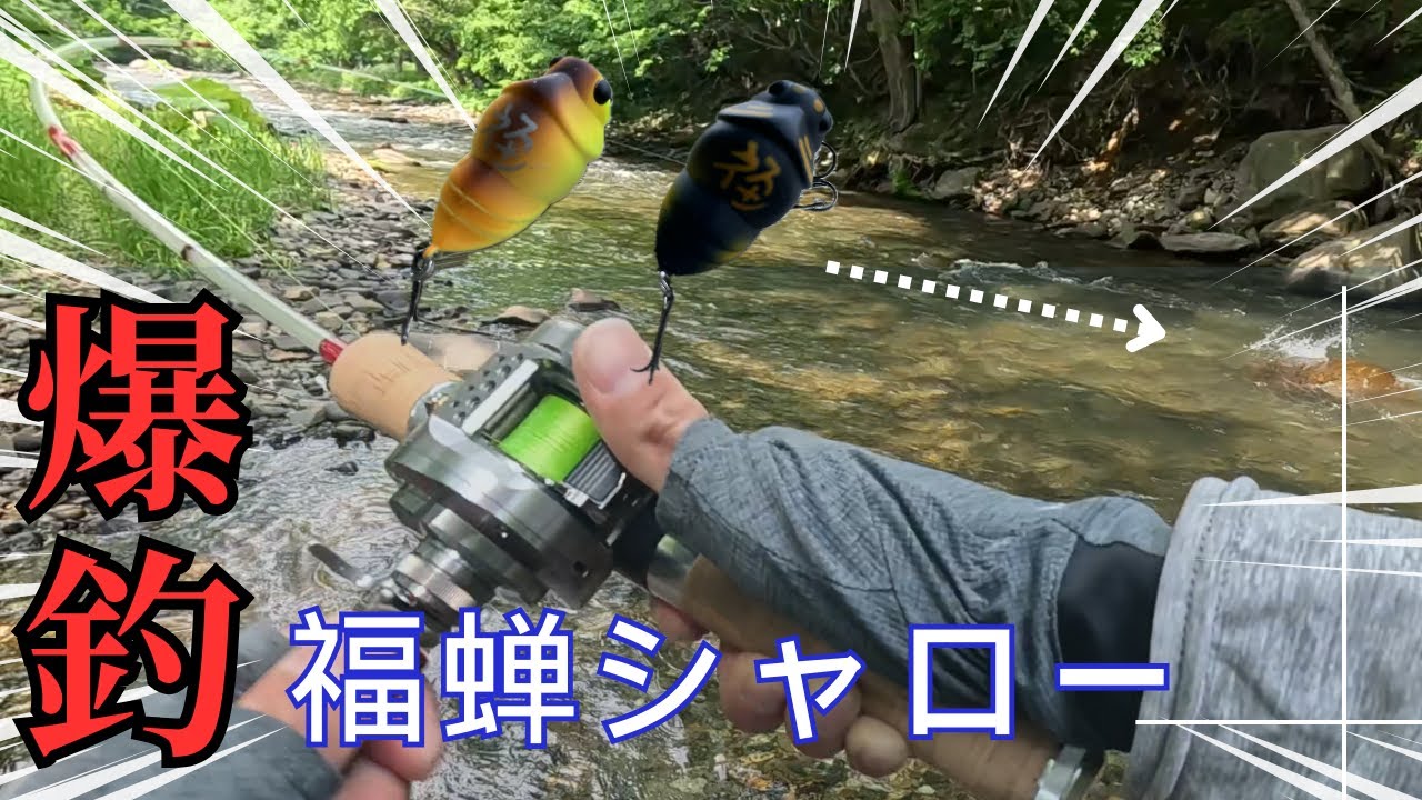 北海道の蝉川、水面しか見えていないニジマスにセミルアーを流してみたら