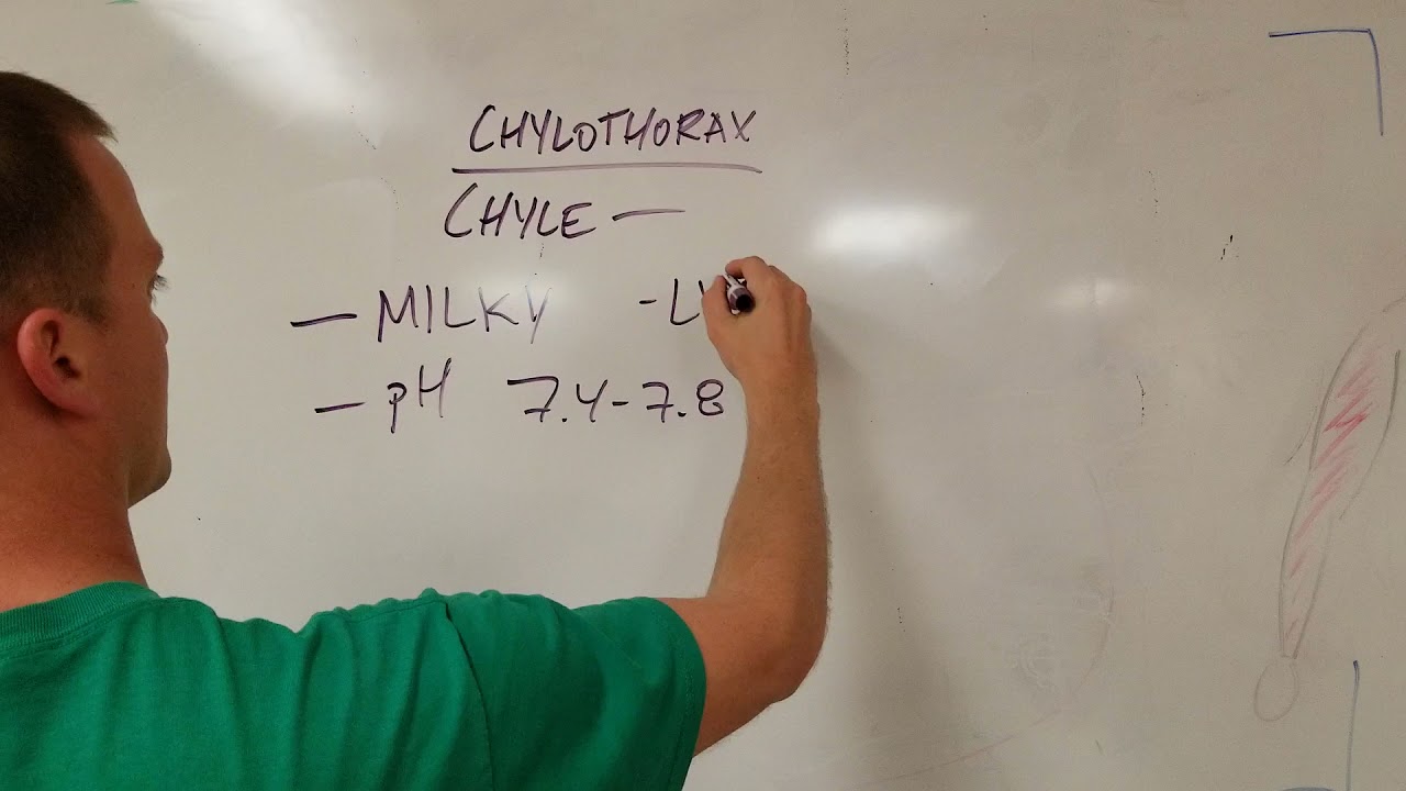 Chylothorax: What it is and How to Diagnose it