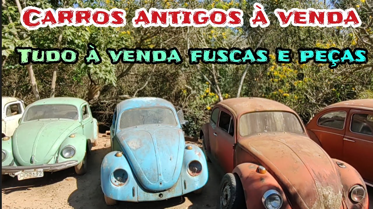 OLHA TODOS À VENDA FUSCAS E PEÇAS CARROS ANTIGOS SALVA FUSCA PIRACAIA #classiccars #aircooled #fusca
